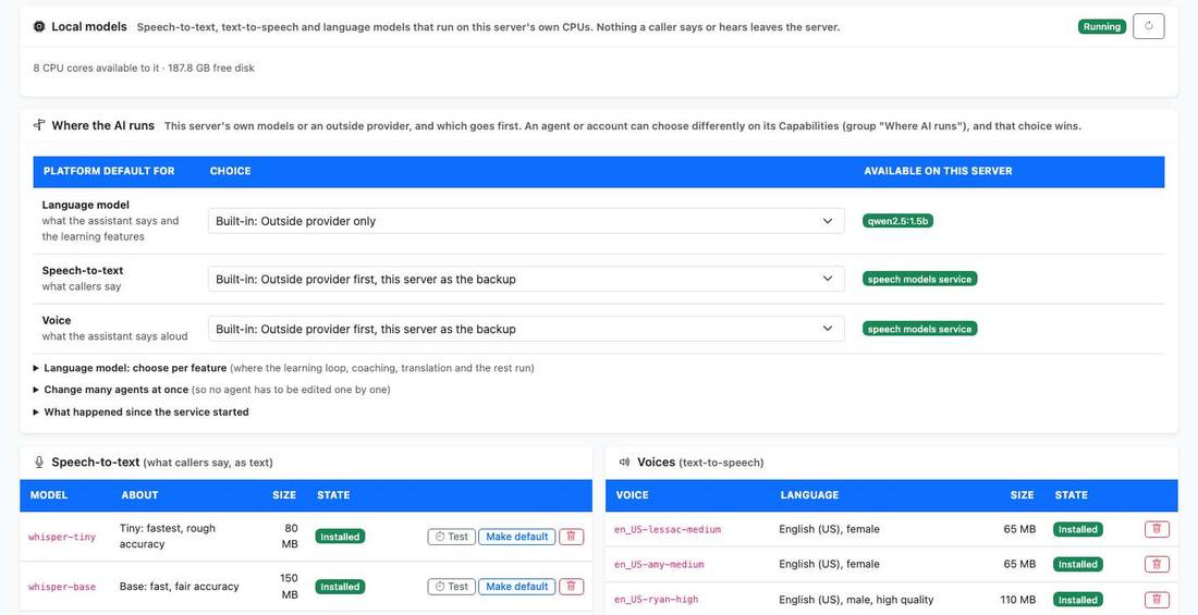 The Local models screen, with speech models, voices and the choice of where each kind of AI runs